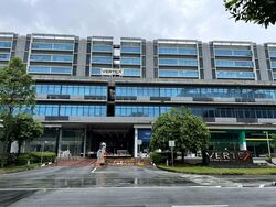 Vertex (D14), Factory #552011781